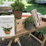 Printemps des bibliothèques : Atelier Sauvage & Gourmand