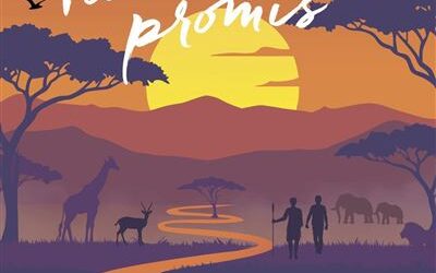 Tu m&rsquo;avais promis
